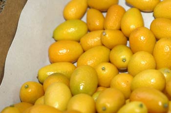 Limones