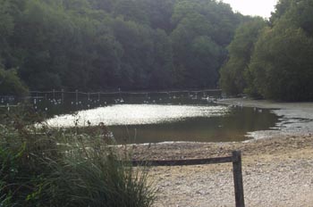 Río Arun, Inglaterra