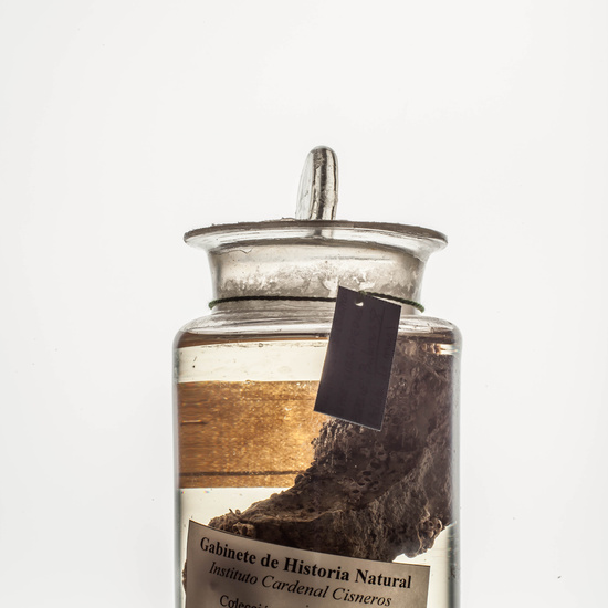 IES_CARDENALCISNEROS_CIENCIASNATURALES_095