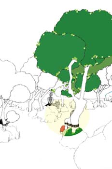 Primera salida. Don Quijote en el bosque