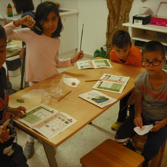 granja tercera parte 15