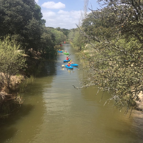 Cuarto disfruta de actividades de multiaventura_CEIP FDLR_Las Rozas 5