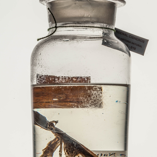 IES_CARDENALCISNEROS_CIENCIASNATURALES_057