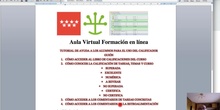 TUTORIAL DE AYUDA A LOS ALUMNOS PARA EL USO DEL CALIFICADOR