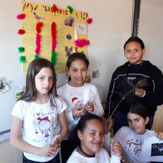 2020_02_13_4º proyecto animales vertebrados_CEIP FDLR_Las Rozas 6