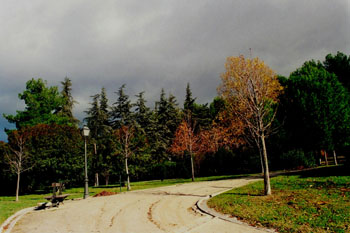 Parque