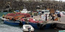 Muelle de mercancías en el Puerto  Ayora, Ecuador