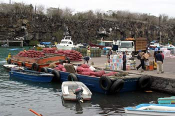 Muelle de mercancías en el Puerto  Ayora, Ecuador