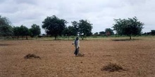 Campesina birmana