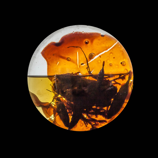 IES_CARDENALCISNEROS_CIENCIASNATURALES_330