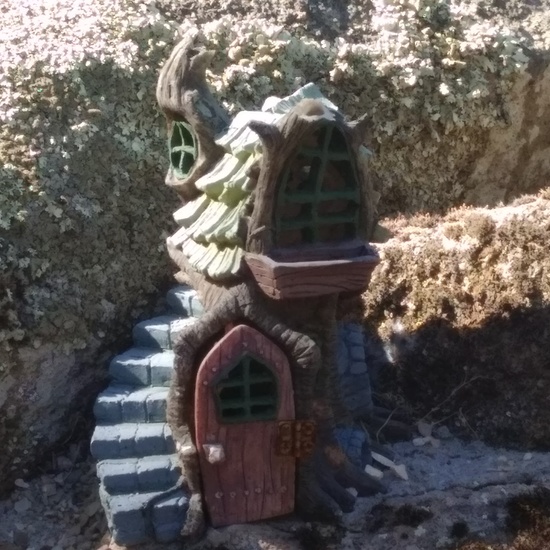 Excursión bosque encantado 9