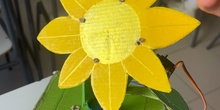 Seguidor solar