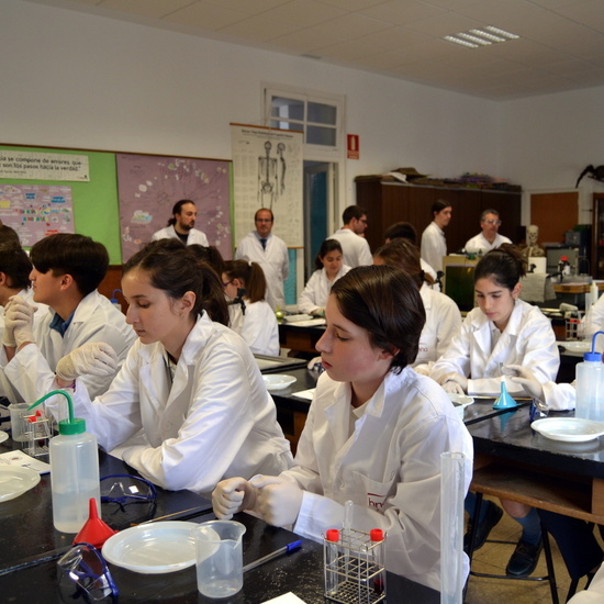 Proyecto de Aprendizaje y Servicio 32