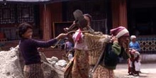 Trabajadoras del Monasterio de Rumtek, cargando arena, Sikkim, I