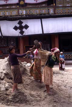 Trabajadoras del Monasterio de Rumtek, cargando arena, Sikkim, I