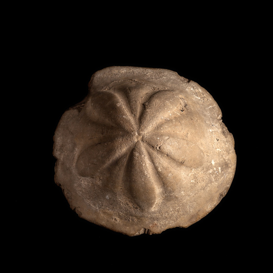 IES_CERVANTES_GEOLOGIA_020