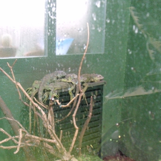 GRANJA DE LOS CUENTOS - ED.INFANTIL (Parte 2) 3