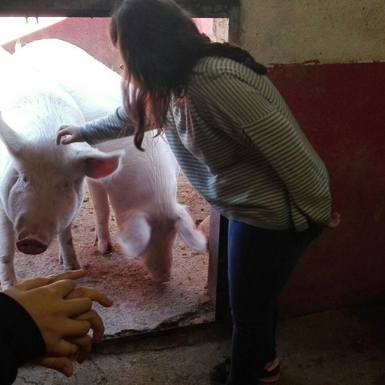 Mohernando 2017_4 47