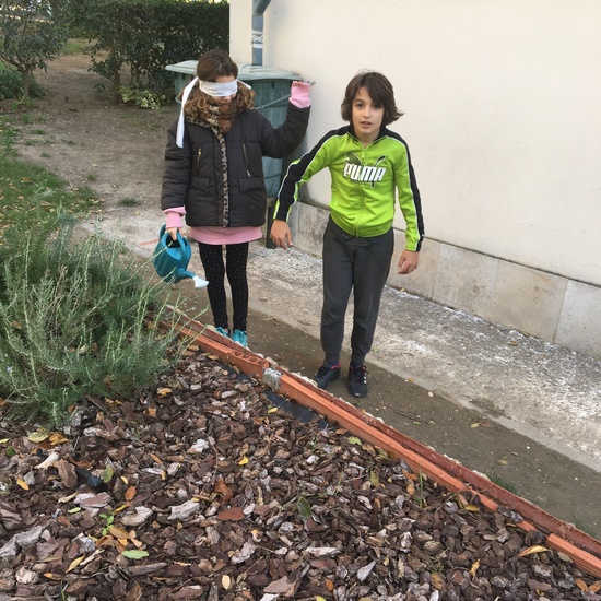 Albergue 6º - 1º día (tarde) 16