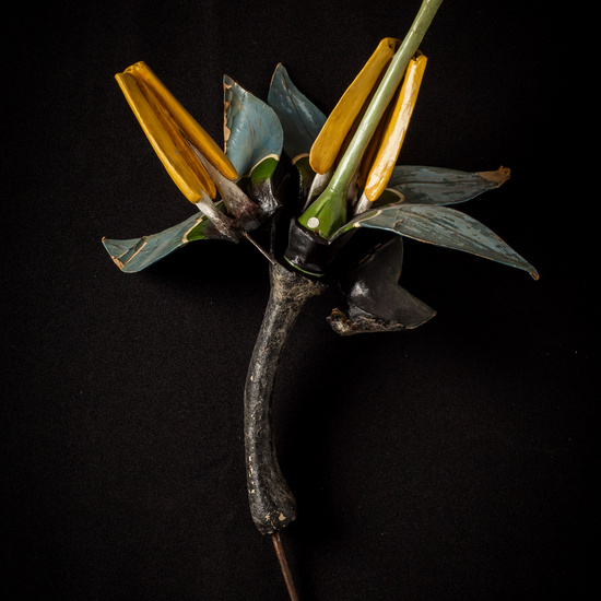 IES_ISABELLACATOLICA_BIOLOGIA_019