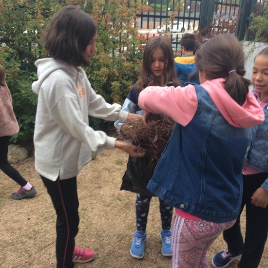 2018_11_CUARTO DISEÑANDO EL JARDIN DE LOS SENTIDOS_CEIP FDLR_LAS ROZAS 14