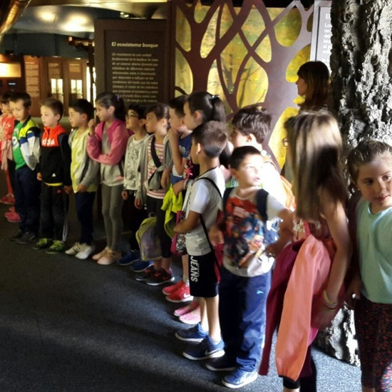 Visita a la exposición El Bosque. 1º 2º Primaria. CEIP Pinocho. 2016/17 24