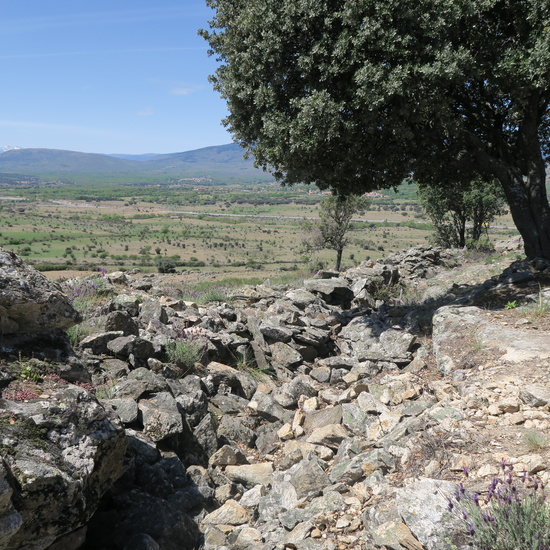 Fortificaciones de la Guerra Civil en Piñuecar-Gandullas (Frente Nacional) 19