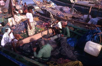 Pescadores en el puerto de Hodeidah, Yemen