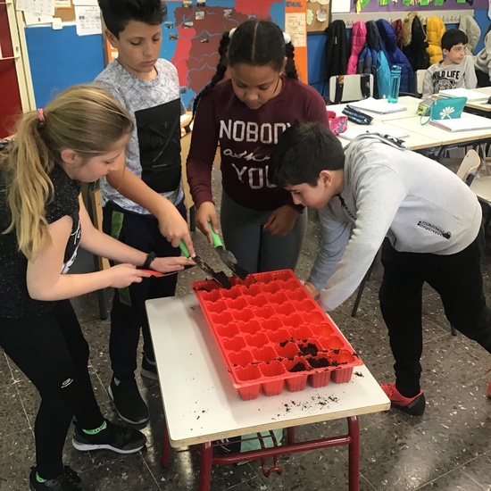 El año hortelano de 4º B 15