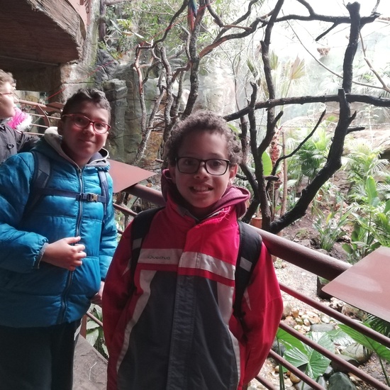 FAUNIA. 5º curso 35