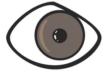Ojo marrón derecho