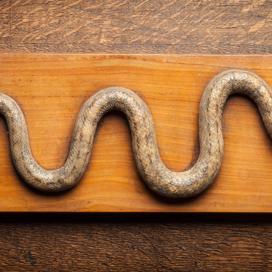 IES_CARDENALCISNEROS_CIENCIASNATURALES_308