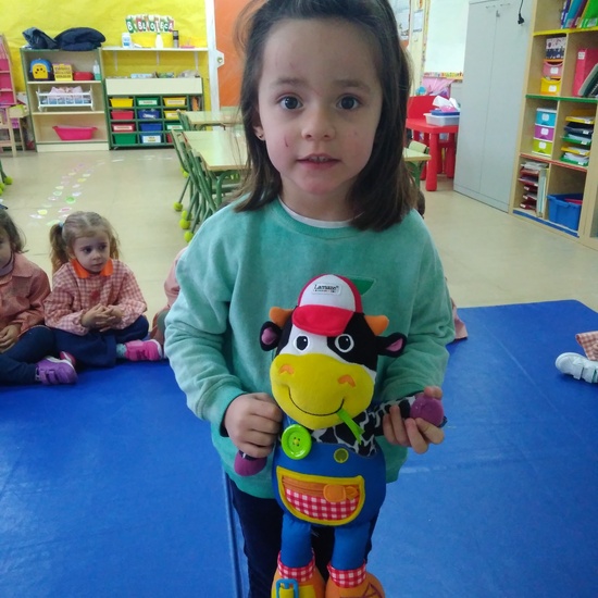 Terminamos nuestro proyecto 8