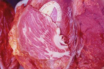 Carne adobada y especiada