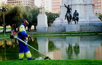 Trabajos de jardinería en la Plaza de España, Madrid