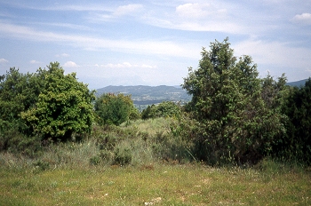 Vista de la Hoya de Huesca