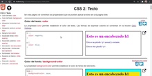 CSS Textos