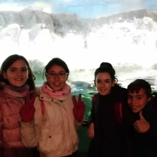 Parque de la Naturaleza. Faunia. 5º Curso. 1