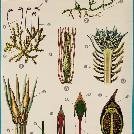 IES_LOPEDEVEGA_CIENCIASNATURALES_062