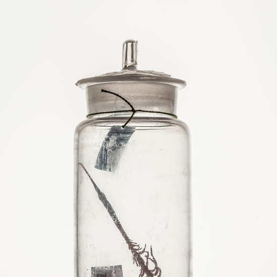 IES_CARDENALCISNEROS_CIENCIASNATURALES_069