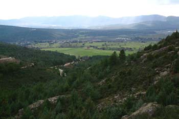 Pradera en la Sierra de la Pedriza, Madrid