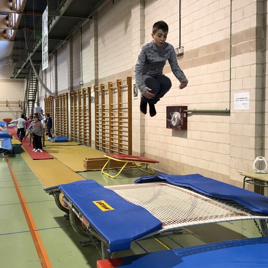 Gimnasia de trampolín 2 14