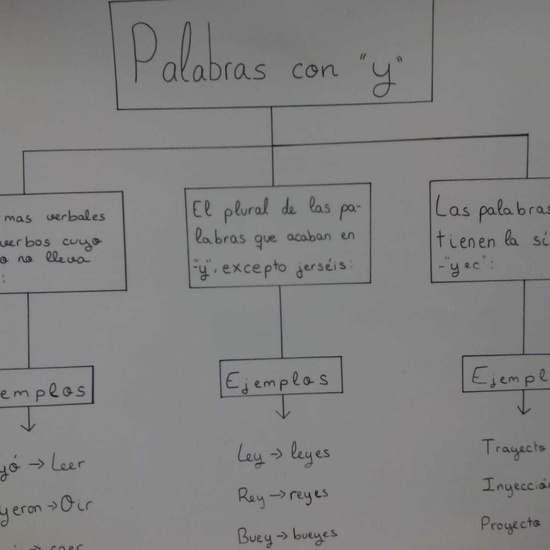 Exposiciones 5º B EP 3