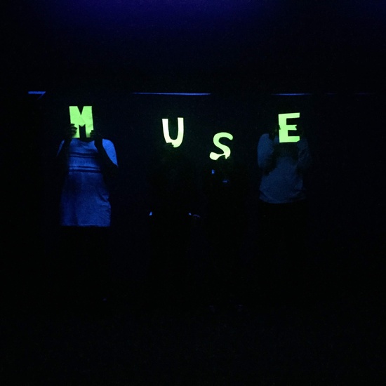 PROYECTO MUSE 2018-19 13