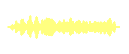 CARMAVAL DE LOS ANIMALES: LA PAJARERA