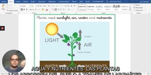 What do plants need to live? (subtítulos en español)