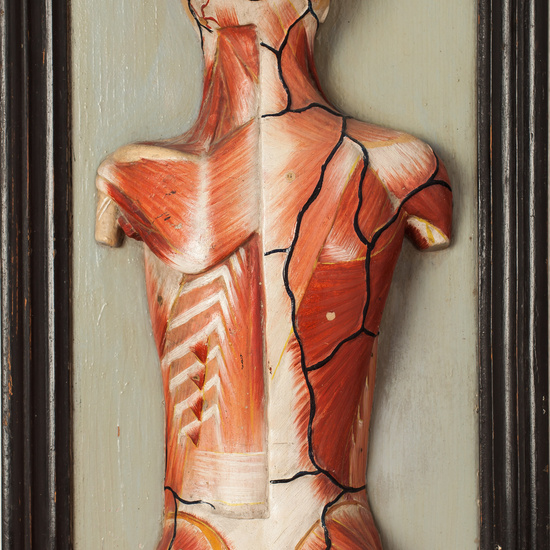 IES_SANISIDRO_BIOLOGIA_345