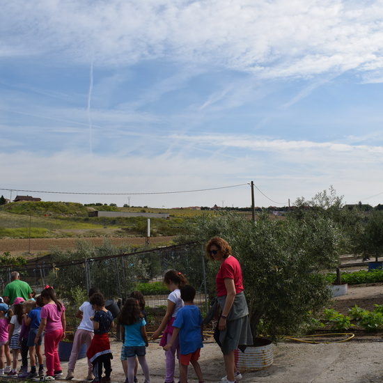 Siembra Huerta Balta 5 años 2018 21