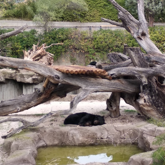 Visita al zoo 2019 18