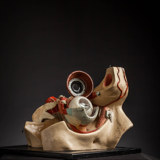 IES_CARDENALCISNEROS_ANATOMIA_MODELOS_033